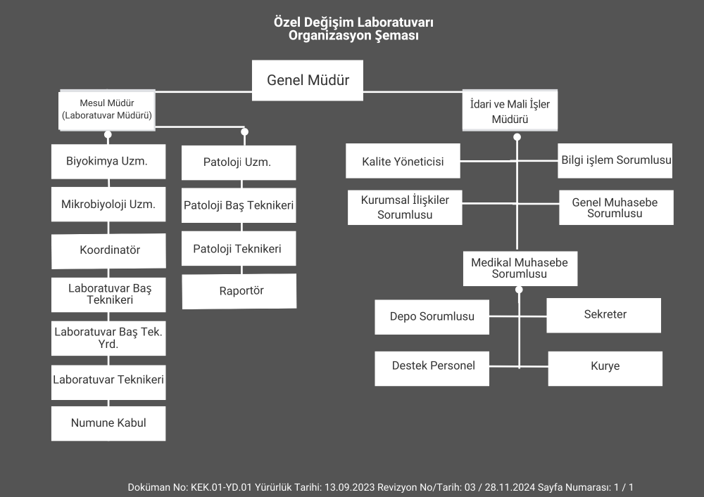 Our Organization Chart